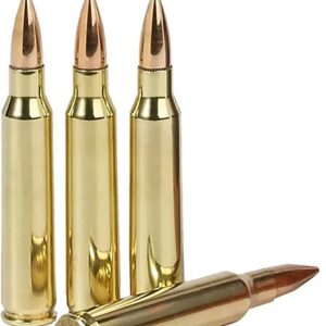 Rifle Ammunition